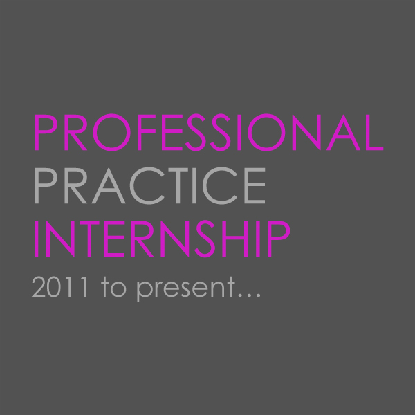 Professional Practice Internship